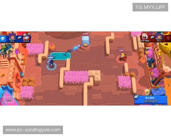 提升三公牛牛金花锅子跑得快胜率的实用技巧与策略推荐